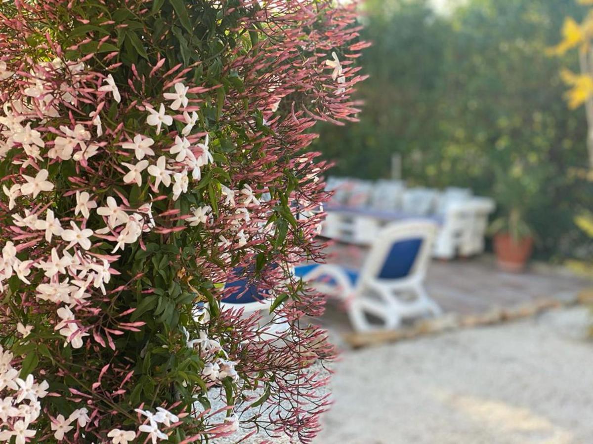 Lovely 2 Bed Apartment In Alcalali Bagian luar foto